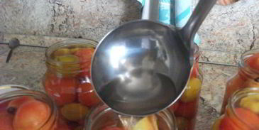 помидоры маринованные со сливой