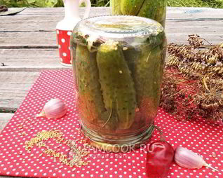 Огурцы с семенами горчицы на зиму
