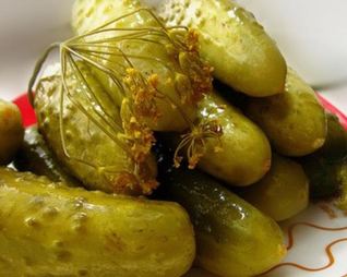 Популярный холодный способ засолки огурцов на зиму