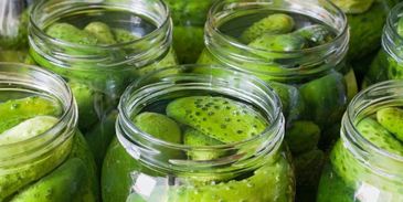 популярный холодный способ засолки огурцов на зиму