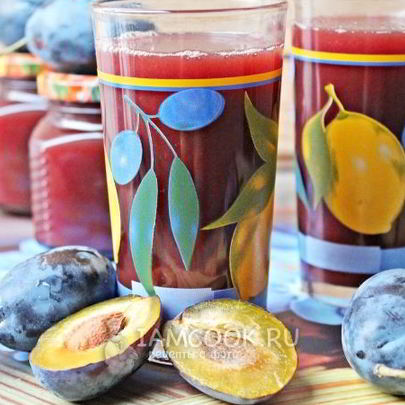 Сок из сливы на зиму через соковыжималку