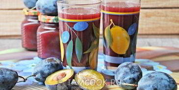 сок из сливы на зиму через соковыжималку