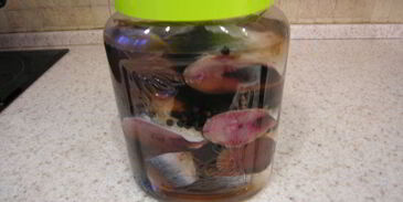 домашняя малосольная сельдь