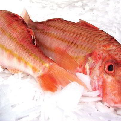 Кефаль соленая