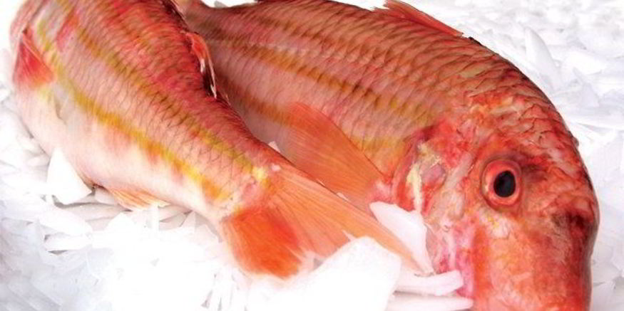 Рецепт кефали соленой