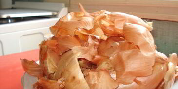 луковое сало