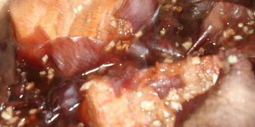 луковое сало