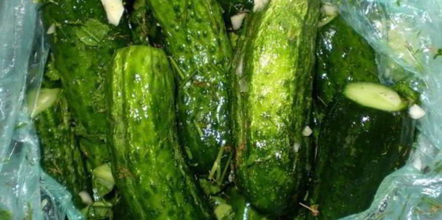 Рецепт малосольных огурчиков без рассола