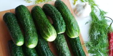 малосольные огурчики и кабачки