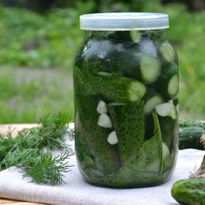 Малосольные огурцы без закатки