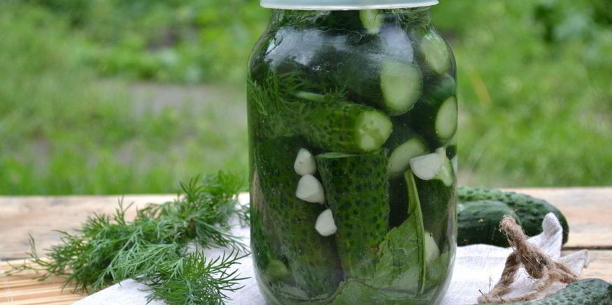 Рецепт малосольных огурцов без закатки