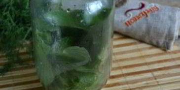 малосольные огурцы без закатки