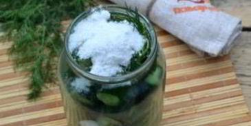 малосольные огурцы без закатки