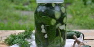 малосольные огурцы без закатки