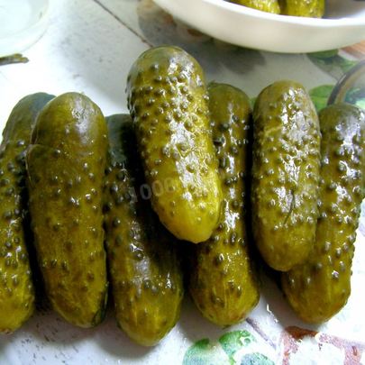 Малосольные огурцы быстрой засолки