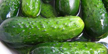 малосольные огурцы быстрой засолки