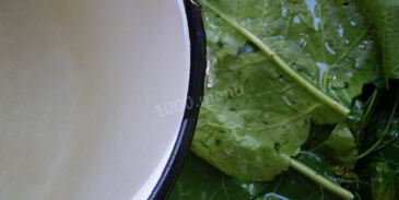 малосольные огурцы быстрой засолки