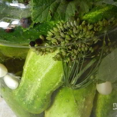 Малосольные огурцы на зиму