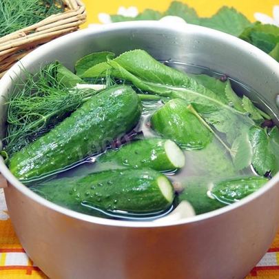 Малосольные огурцы с листьями ежевики