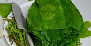 малосольные огурцы в виноградных листьях