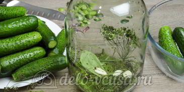 малосольные огурцы