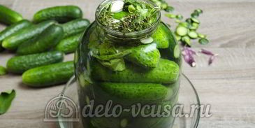 малосольные огурцы