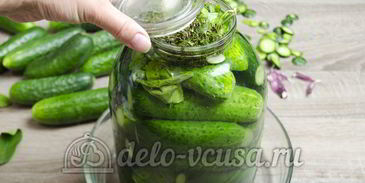 малосольные огурцы
