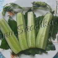 Рецепт Огурцов малосольных с дикими травами