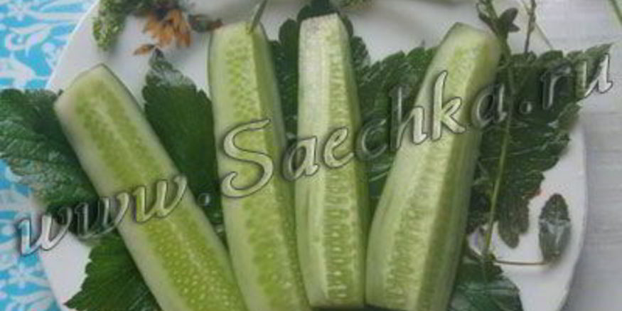 Рецепт огурцов малосольных с дикими травами