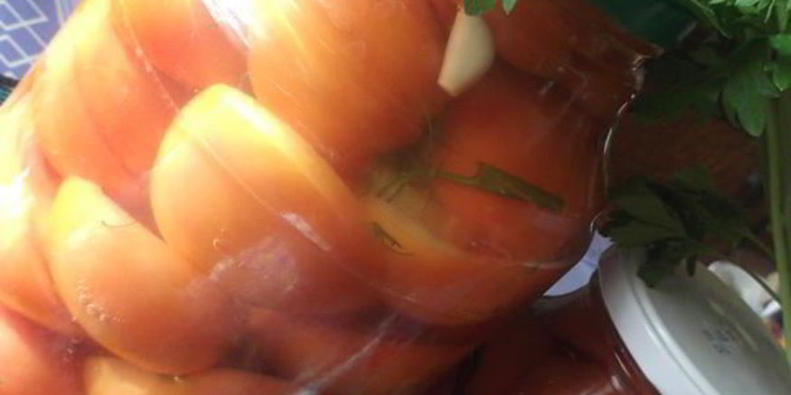 Рецепт соленых помидоров за 4 дня