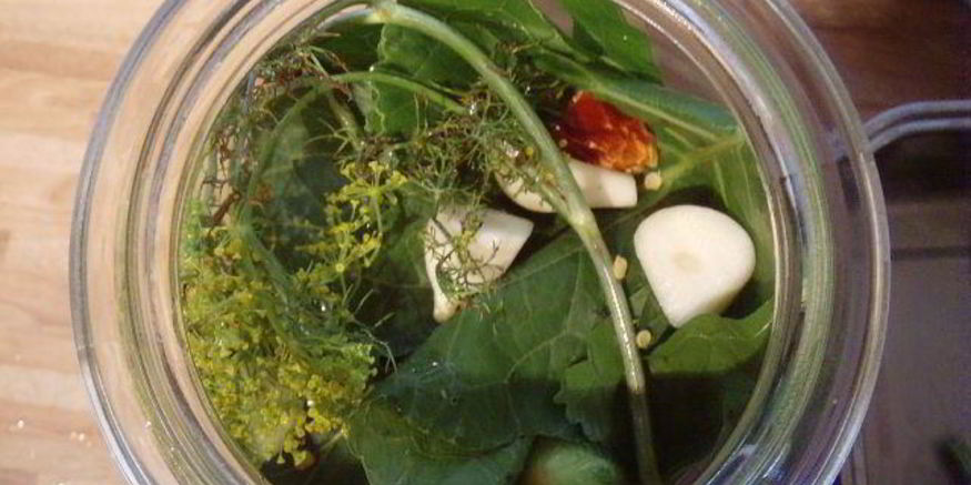 Рецепт соленых огурцов на зиму