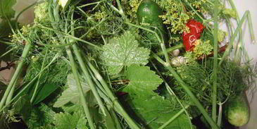 соленые огурцы на зиму