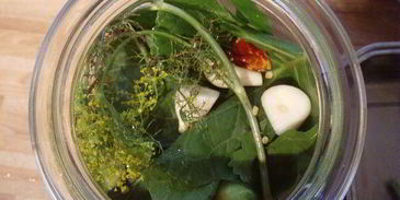 соленые огурцы на зиму