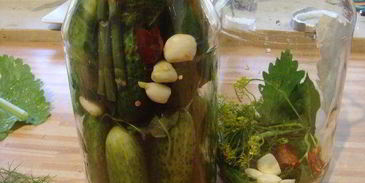 соленые огурцы на зиму