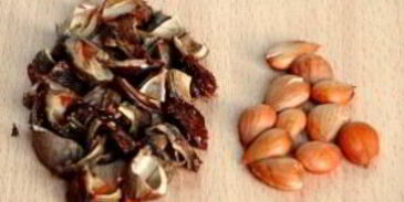 варенье из абрикосов с косточками