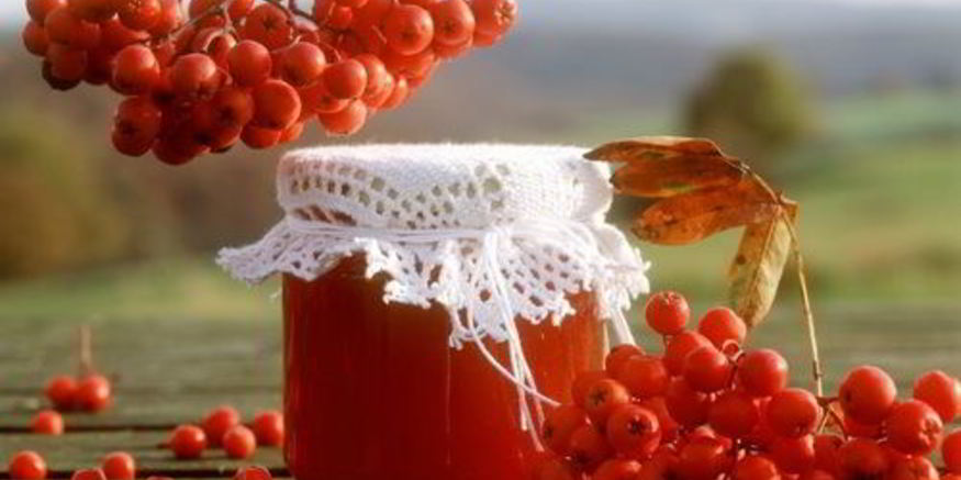 Рецепт варенья из лесной рябины