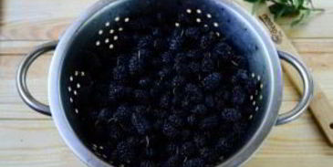 варенье из шелковицы на зиму