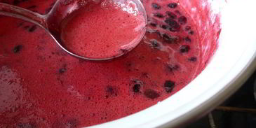 варенье из жимолости