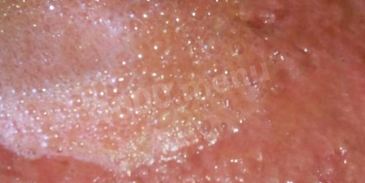 заготовка томатный сок на зиму