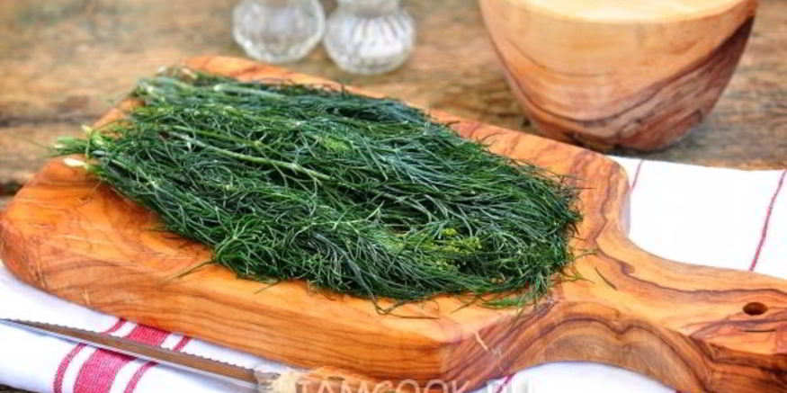 Рецепт замороженного укропа на зиму