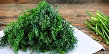 замороженный укроп на зиму