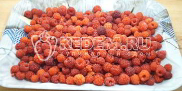 заморозка малины на зиму