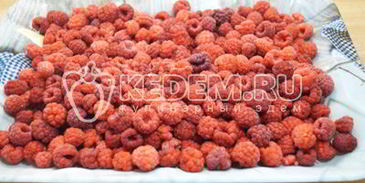 заморозка малины на зиму