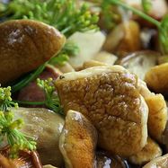 Рецепт Засолки белых грибов на зиму