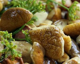 Засолка белых грибов на зиму