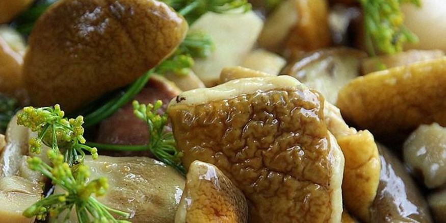 Рецепт засолки белых грибов на зиму