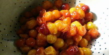 желе из алычи на зиму