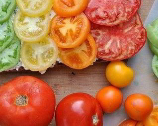 Брускетта с помидорами и творожной намазкой из базилика