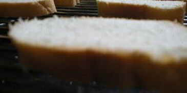 оливковая брускетта