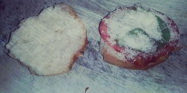 бургер с куриной котлетой